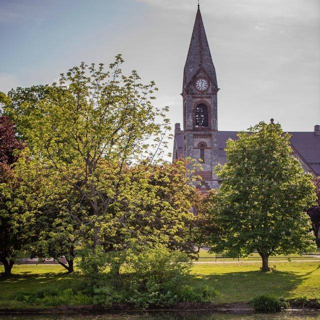 university of massachusetts amherst 麻省大学阿姆赫斯特分校