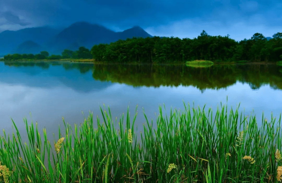 夏天是多姿多彩67的十首夏景的诗词欣赏夏天美丽的风景