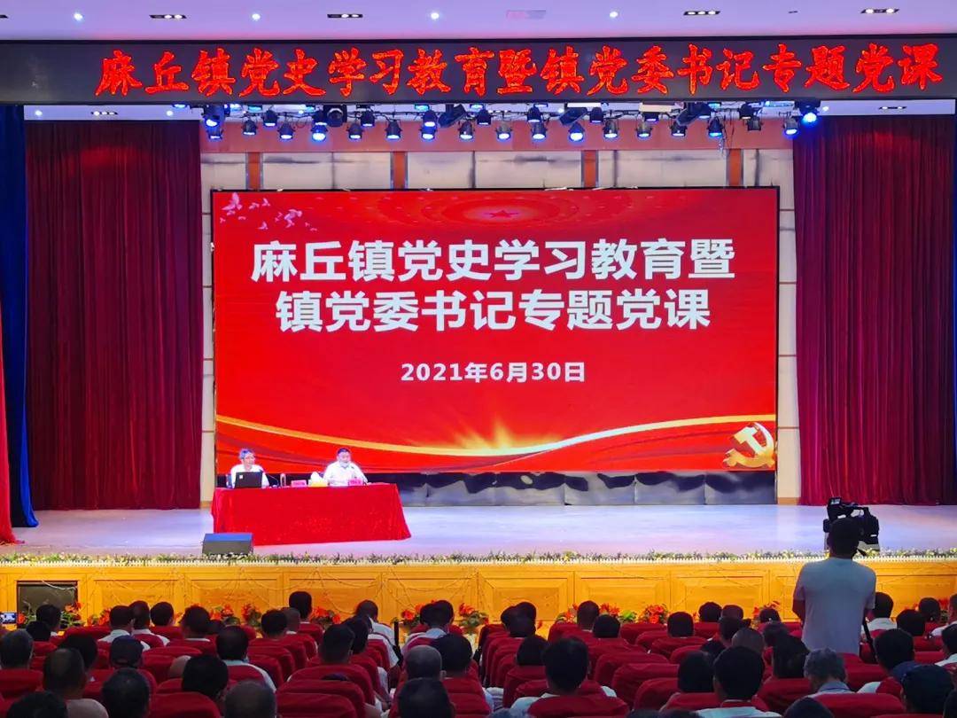 学好百年党史汲取奋进力量麻丘镇党委书记张向阳给全镇党员讲党课