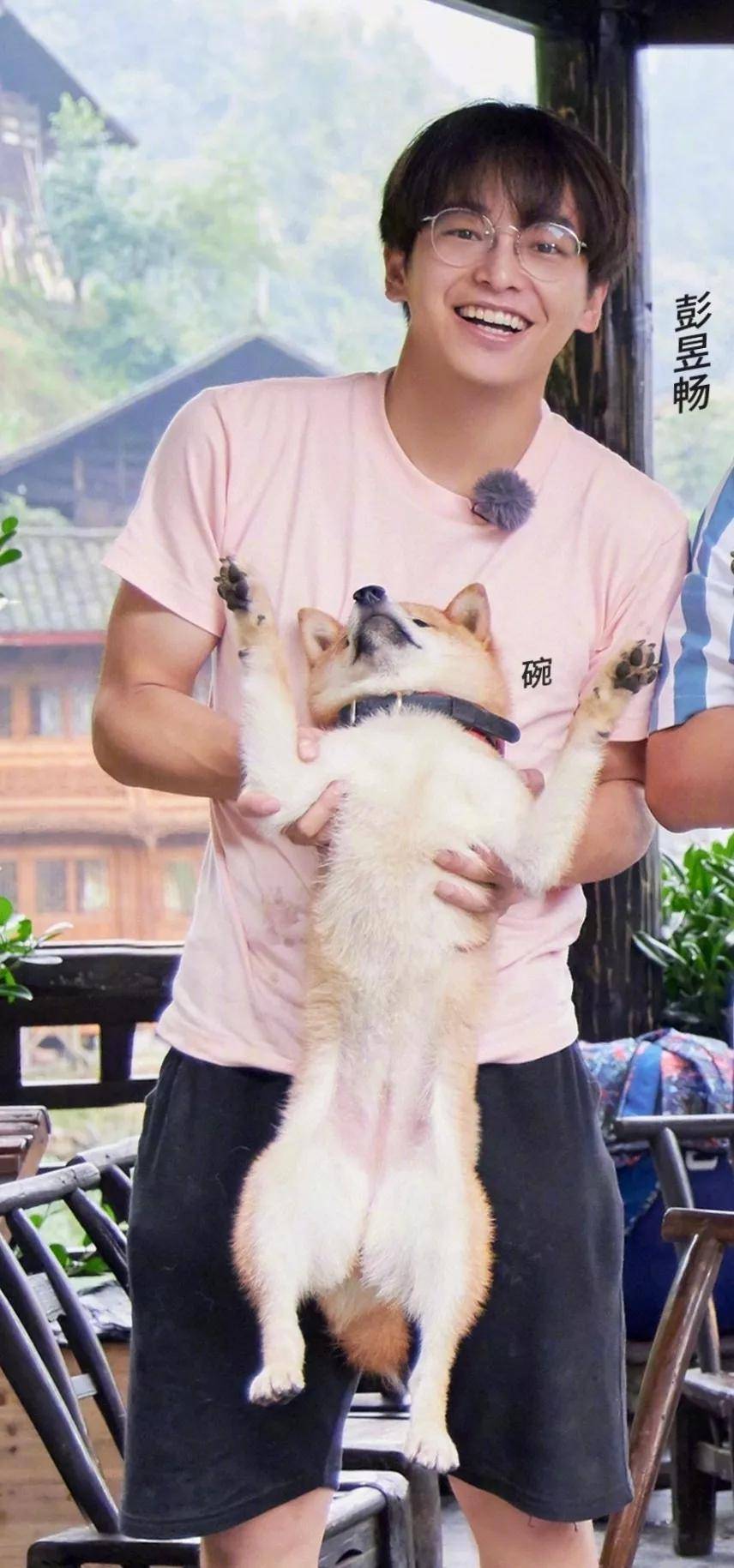 吴磊抱狗姿势冲上热搜，网友：别人是抱狗，他是抱娃,狗,第12张