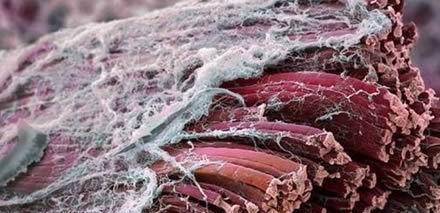 d5229311f69c49549ed3e6c57941a355.jpeg