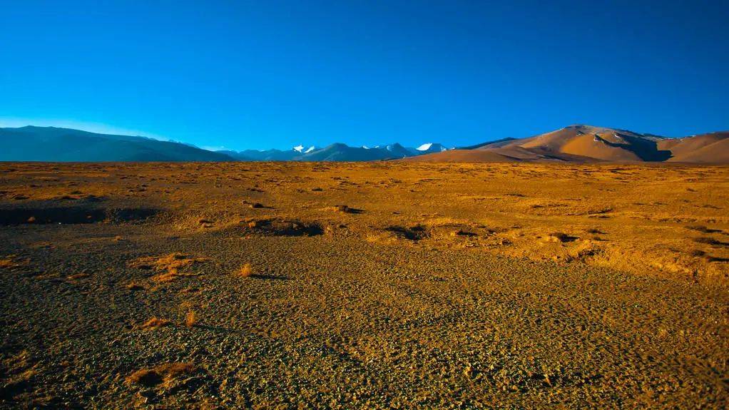 知识科普|为什么会得湿疹，治疗湿疹怎样去根？