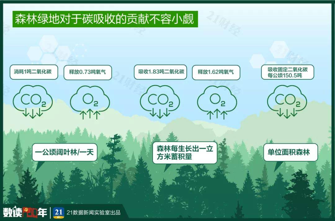 当前碳吸收主要来自森林绿化.