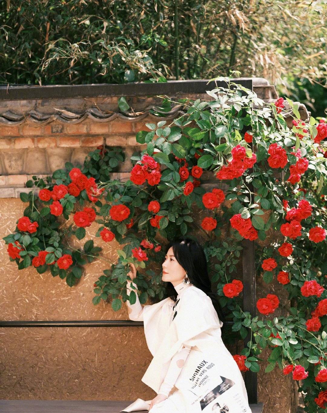 50岁俞飞鸿杂志照仙气飘飘,称不会参加真人秀