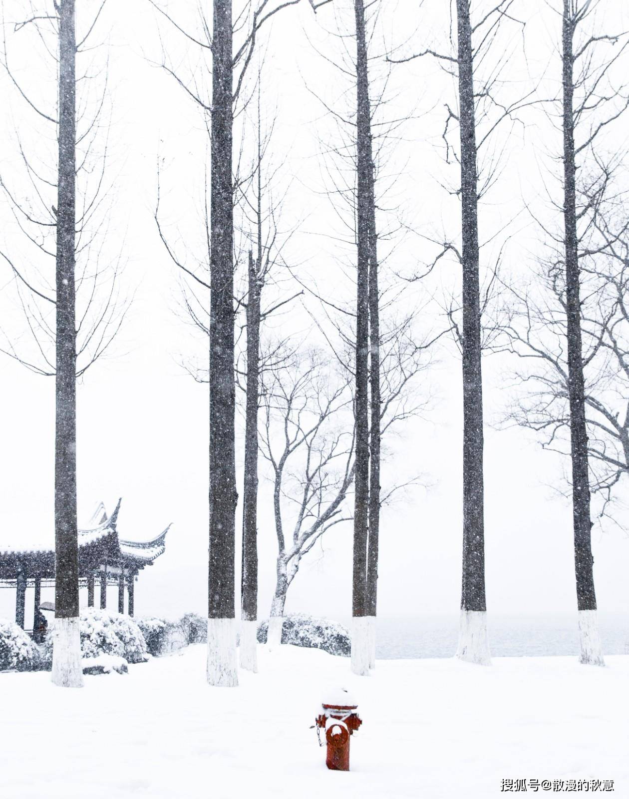 而今,又迎来了白雪皑皑的大雪.