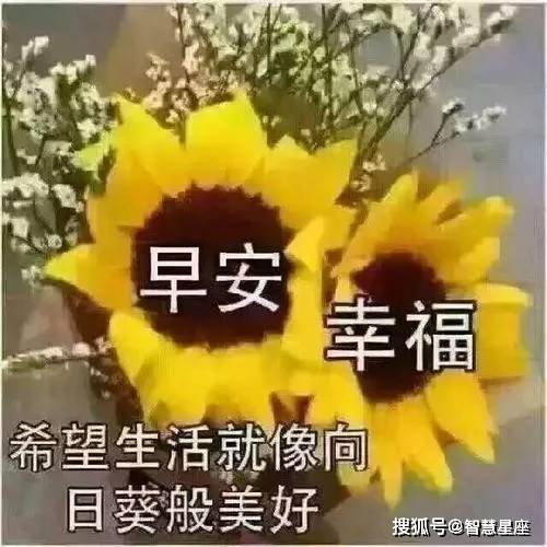 7月4日大家早上好 最美早安问候祝福语动态漂亮图片 温馨早安问候语图片 生活