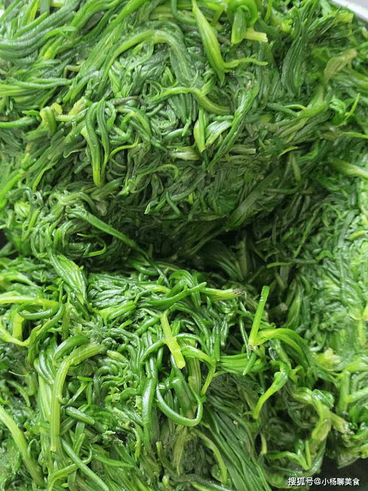 7月,遇到这菜囤个30斤,放冰箱冷冻,包包子吃特别香,一分钱不花_黄须