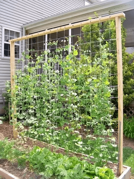 c4b91609d052452caf4c9be04a8961b9.png