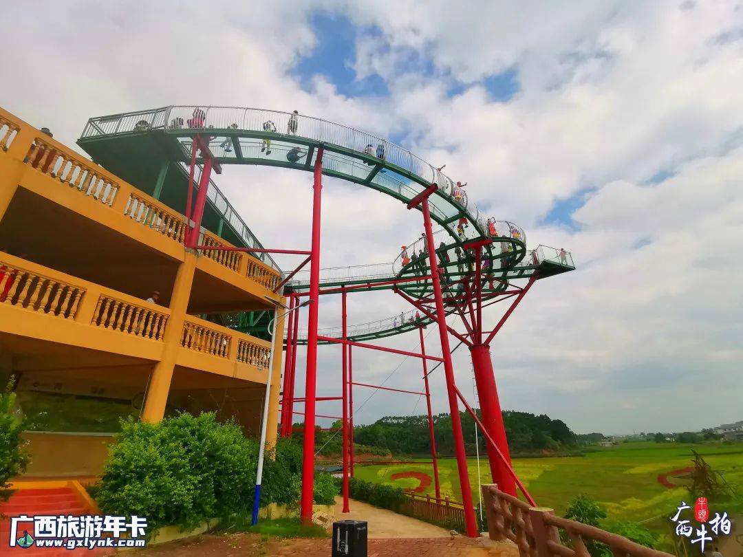 广西牛拍 | 超震撼!古辣大陆村稻画新图共赏 | 广西旅游年卡