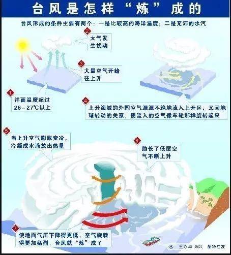 海域|台风的“幼年期”到底长啥样？