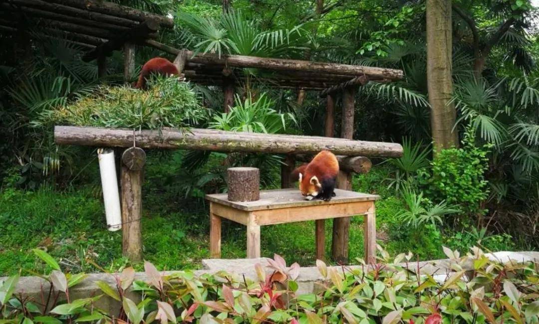 in|『缤纷夏日 七彩童年』吉利汽车无锡同元员工亲子拓展 in 南京！