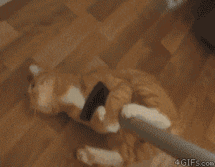 32ab9851b43a4560906fa8b1e3c79b1f.gif