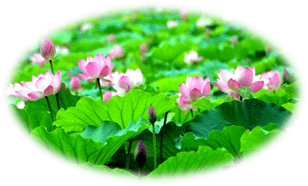 课堂|丨小儿课堂丨“动”则夏“长”