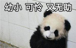 a92144fbc1c943988aa1b53f75ca4f78.jpeg