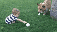 整张|“你是不是傻?愣着干啥,快帮忙啊!”