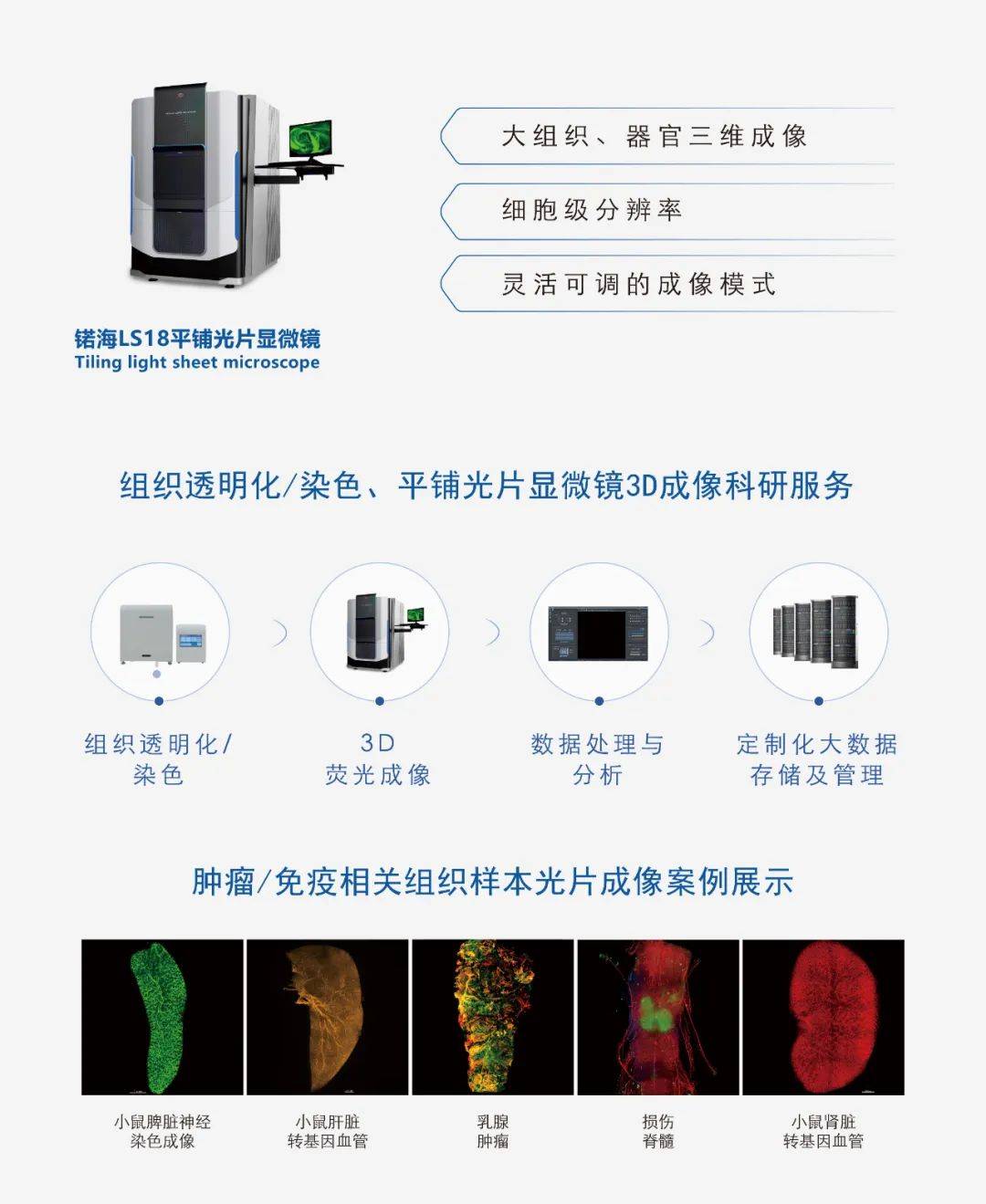 研究|精彩回顾｜锘海参加第八届CMI免疫学研讨会