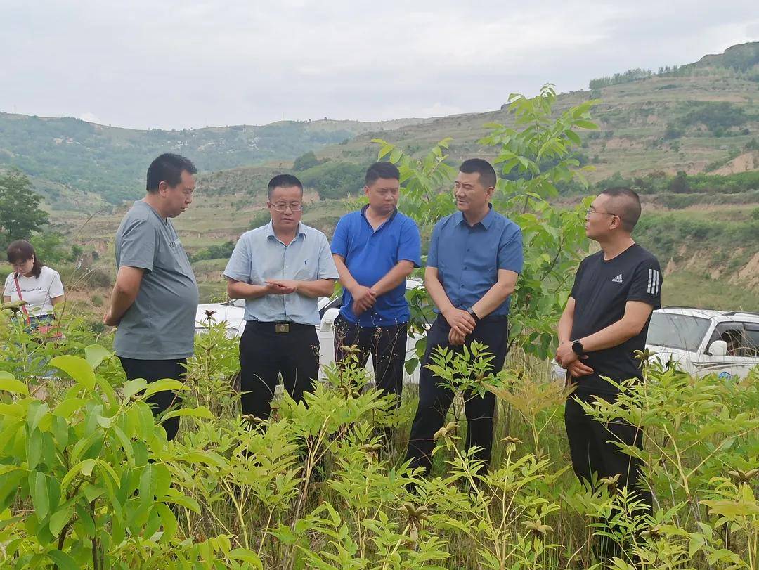 礼县县委副书记张力一行莅临绿盟牡丹基地考察调研