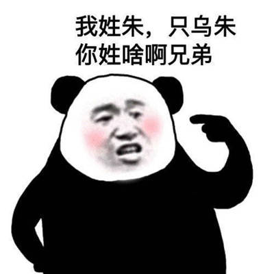 你姓啥啊兄弟表情包
