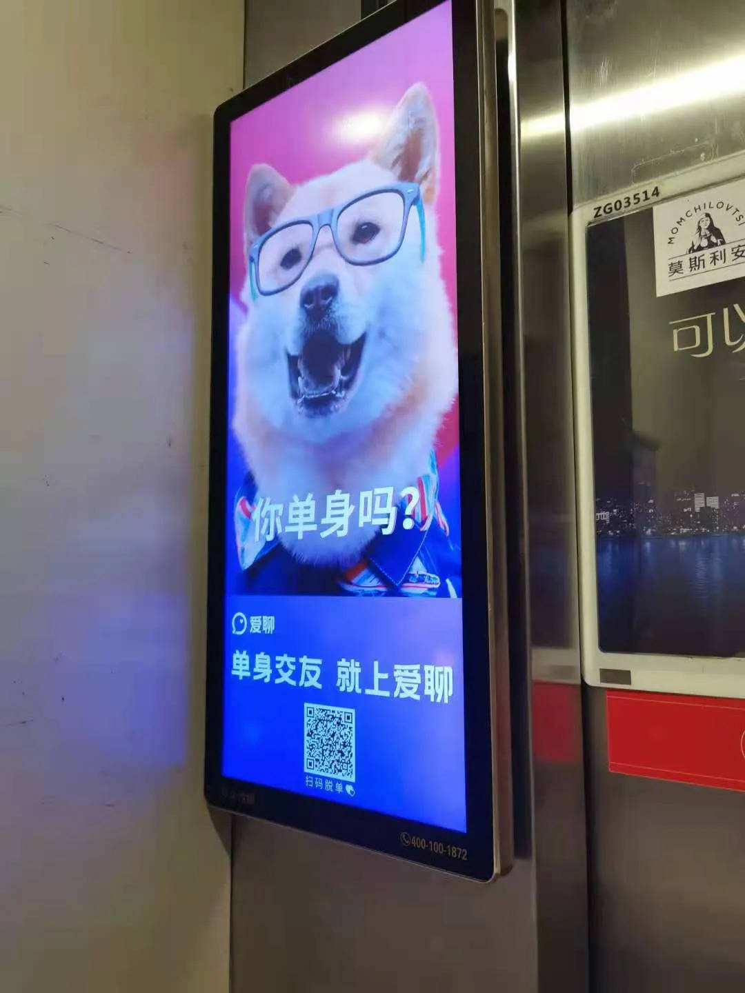 新手|单身男把“爱聊”APP当脱单红娘，它却把你当成提款机