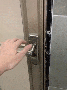 毛孩子|网友养了4只毛孩子,总在卫生间门口等待,变形计对它们都没作用