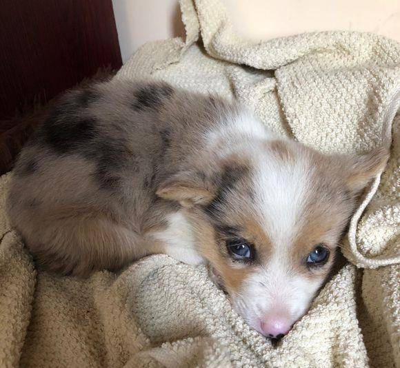 什么|它长得“好奇怪”，要不说还真不知道它是……