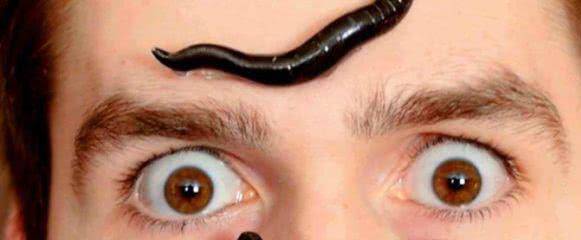 蚂蝗学名水蛭,水蛭有分节的身体,和蚯蚓差不多,身体两端有两个吸盘,一