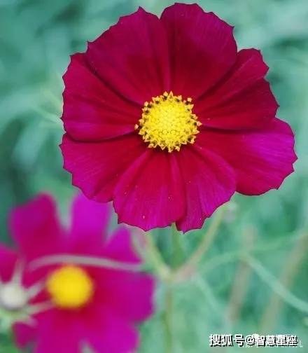 7月12日 4属相的吉星闪耀 财源广进 日子平静富贵 一切顺利 祝福