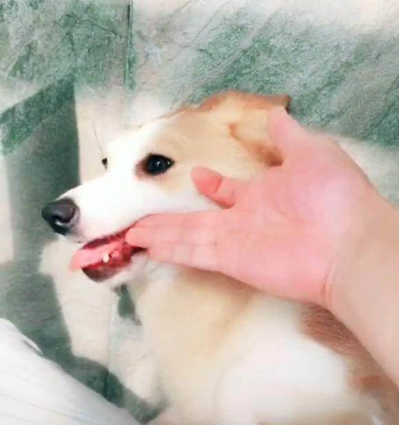 观点评论|不知道这6根铁链能否锁住这妖兽，网友：金刚伏魔锁妖大阵？