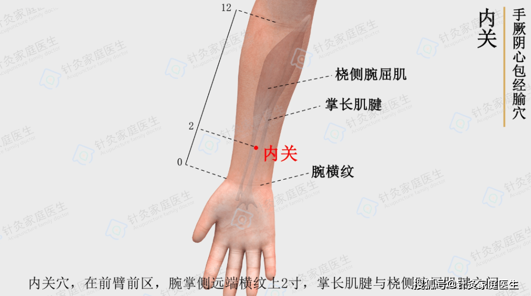 小暑|送你一份养生攻略,请查收!