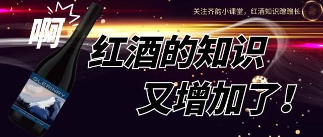 Vol|【齐韵国际葡萄酒】全网最全的葡萄酒界吉尼斯纪录大盘点