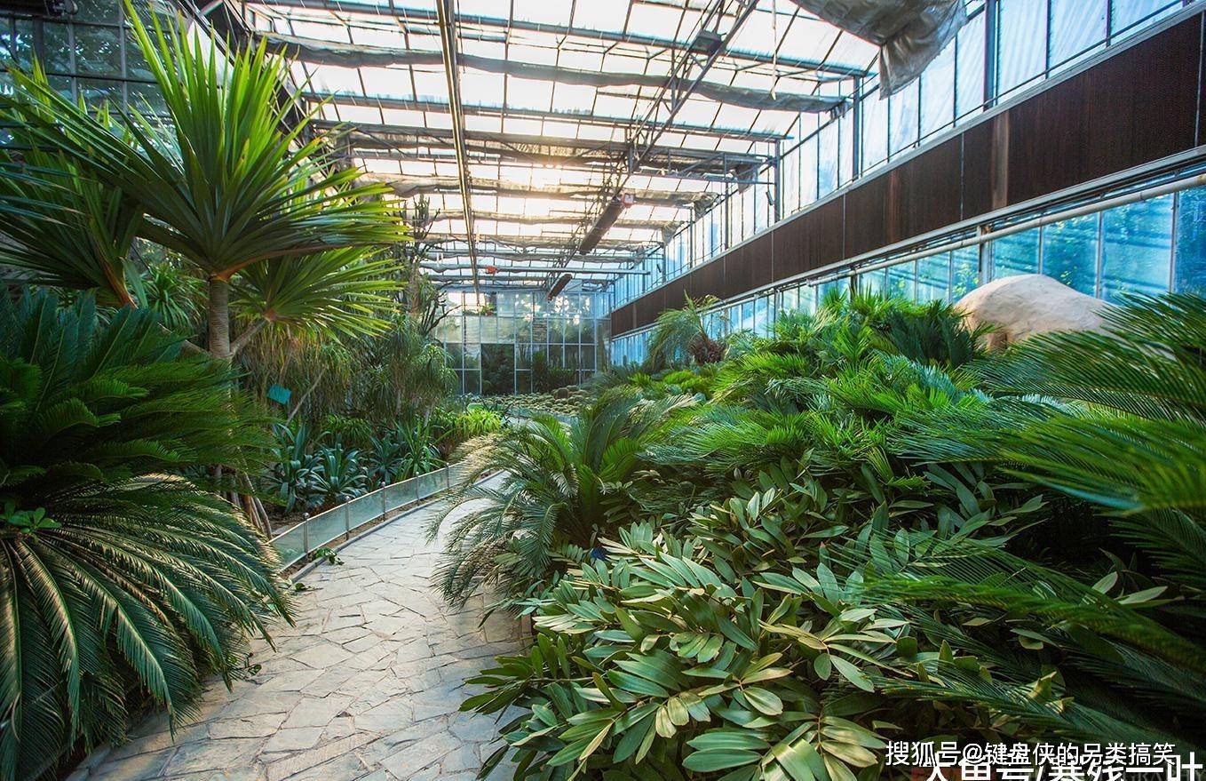 原创中国北方城市投资2.6亿,建亚洲最大室内热带植物园,看看有什么