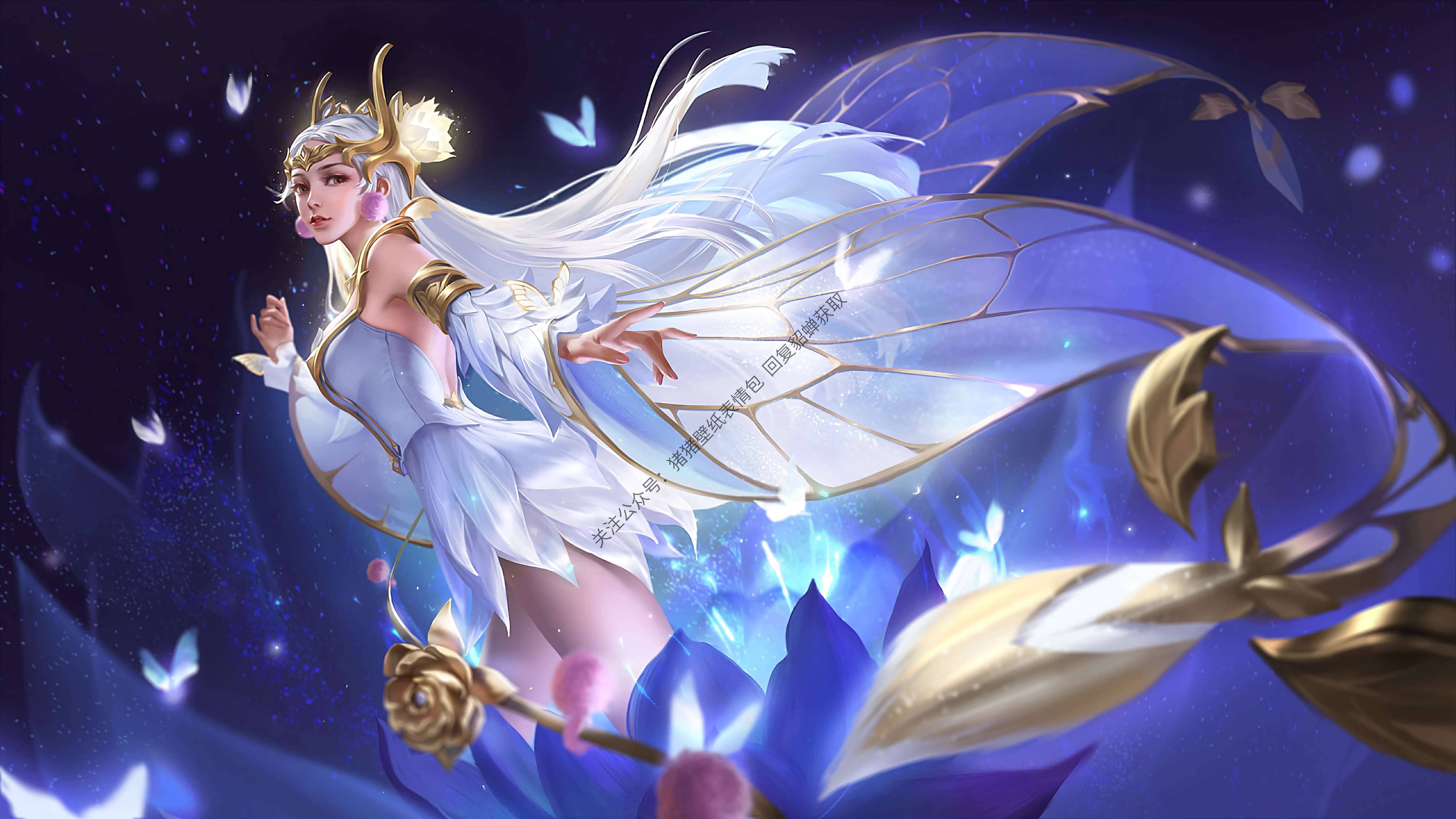 貂蝉仲夏夜之梦壁纸丨高清壁纸丨王者荣耀壁纸