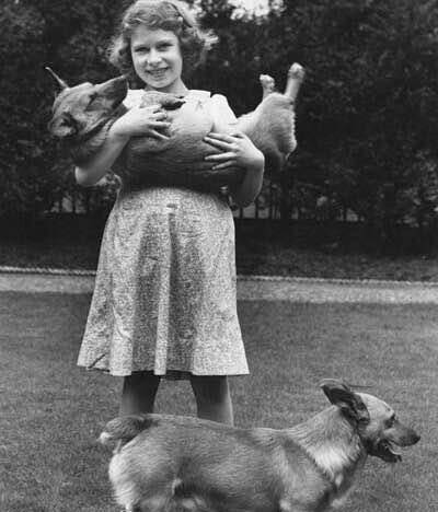 尖儿|英国女王和短腿柯基那些事:开除给狗吃罐头的厨师,亲王吃它的醋