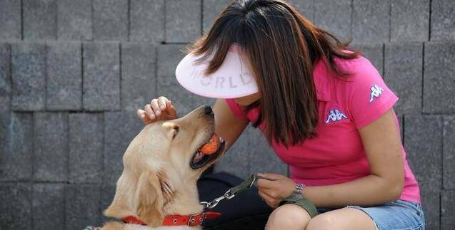 地方|训练小妙招：主人只要学会这几步，狗狗乖乖“定点大小便”！