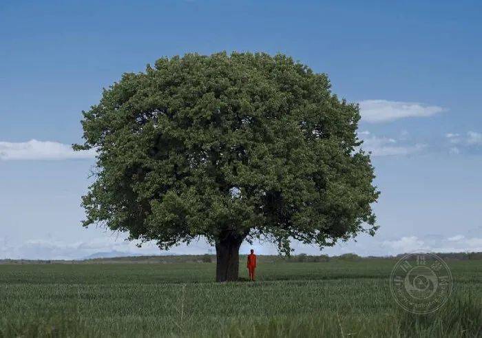 Rene|Felicia Simion | 超现实主义自拍