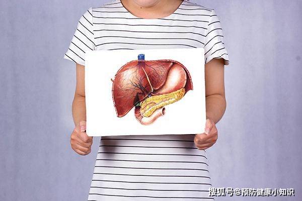 传导|注意,检查出肝脏有低回声,不能盲目判断为肝癌,告诉你其他可能