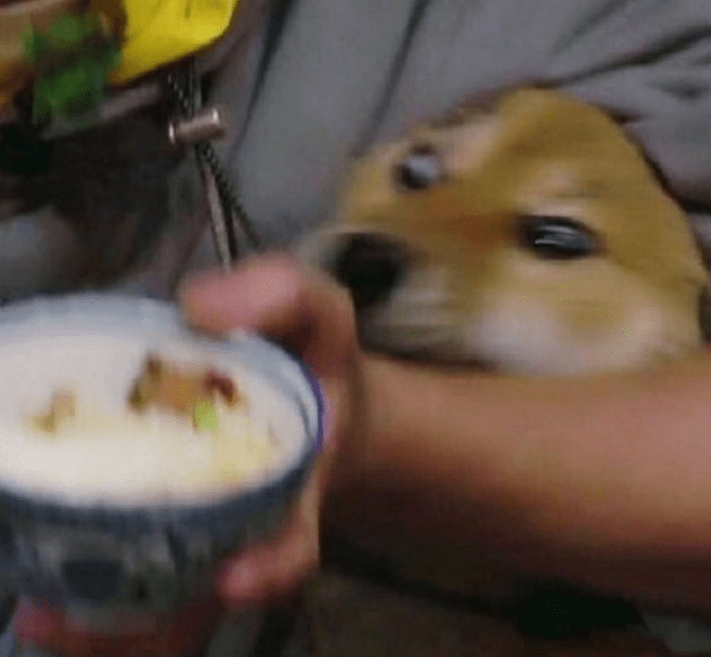 228f28f1d20b4fe099cb430144509365.png