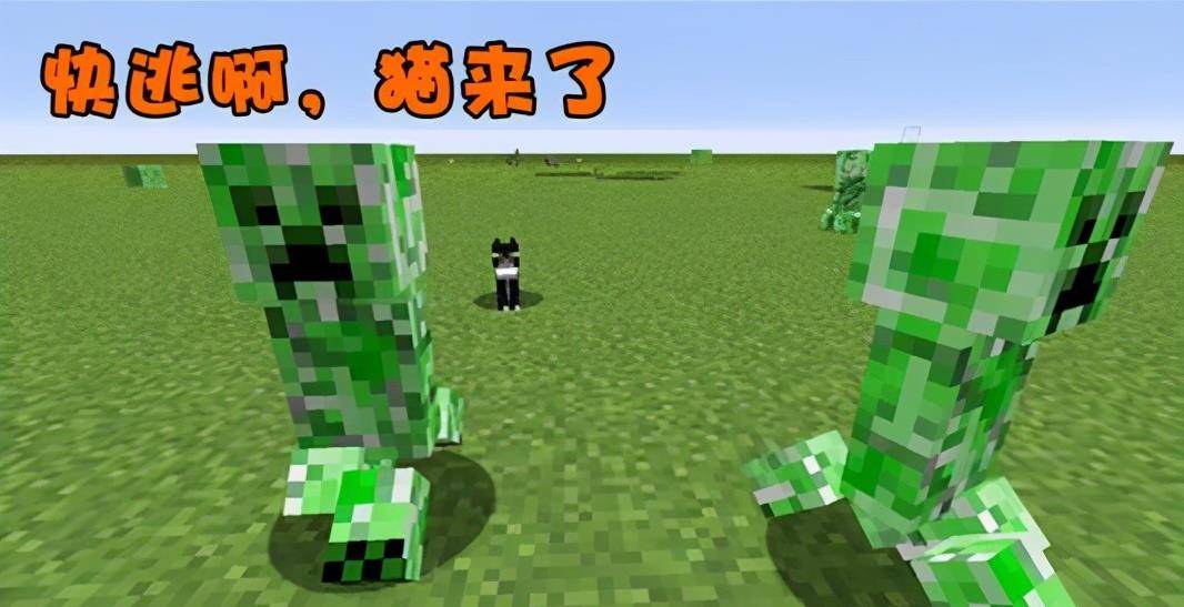 8c71325632ef4f128366916701166b2f.jpeg