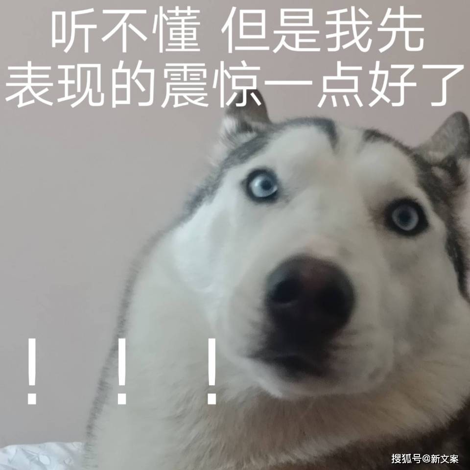 你见过最扯的小说情节是啥emm智商不够用啊