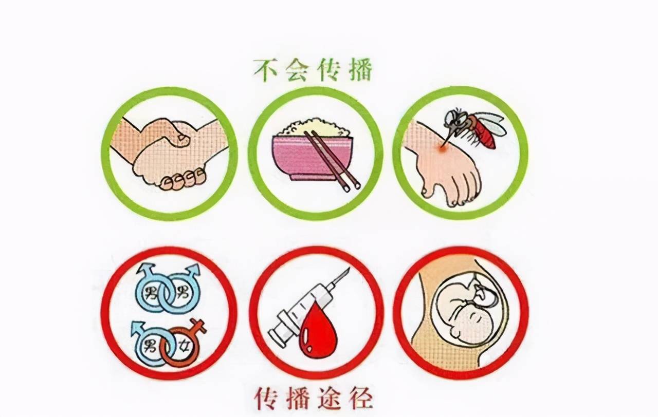 途径|乙肝的主要传播途径有哪些?医生:这3种情况,可能会传染