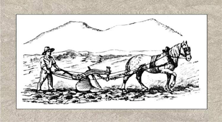 绮丽|【7.28-30 Interwine】马克斯威酒庄——美国纳帕的“谷中之谷”酒庄