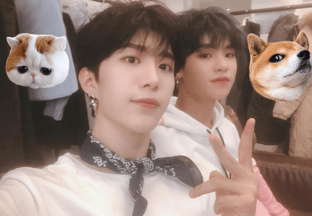 什么|大学是什么体验，为何是15周幼儿园+3周高三，听听过来人怎么说