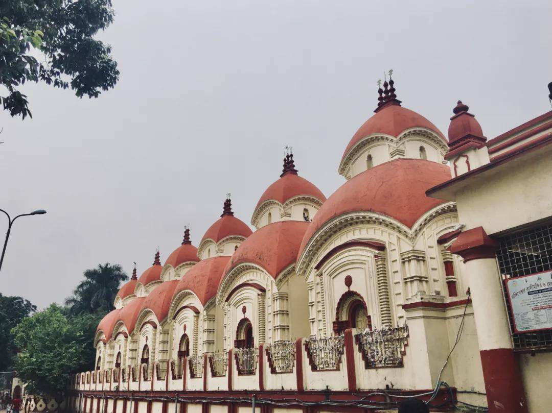 思想|高考前，理科第一的我被中文系录取，从此命运发生改变