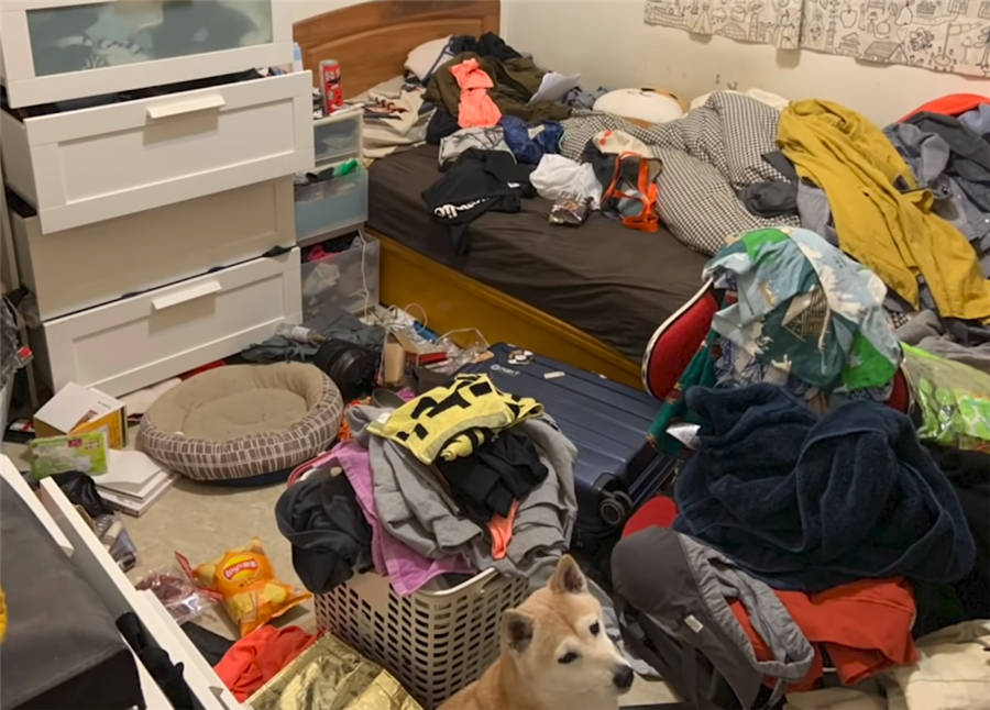囤积癖姑娘10㎡卧室衣服堆积如山3名整理师8小时打扫干净