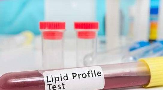 什么|血脂检查七项标准介绍,偏高或偏低代表什么?快来收藏吧