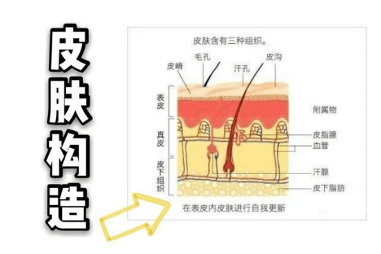 产品|专注与专业，私域电商伊的家的成功之道