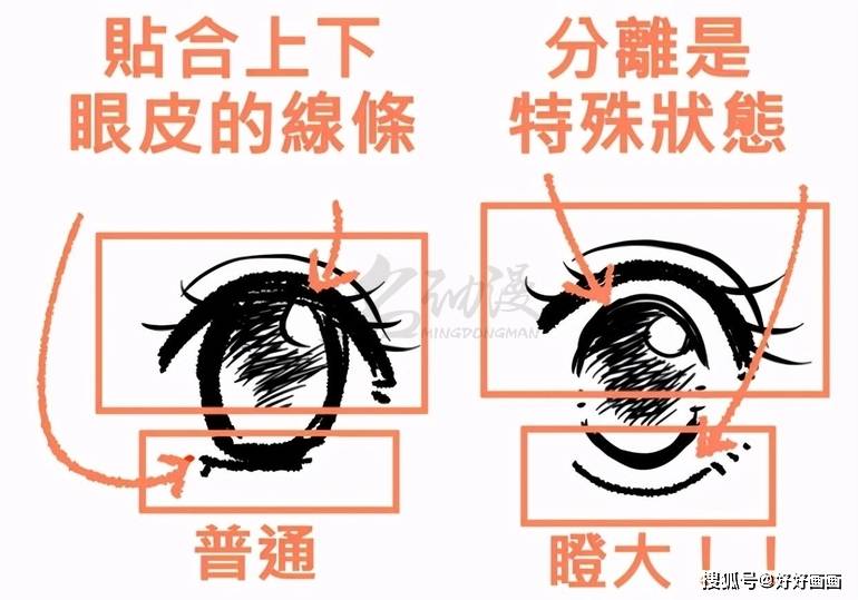 同学|关于眼睛的画法教程