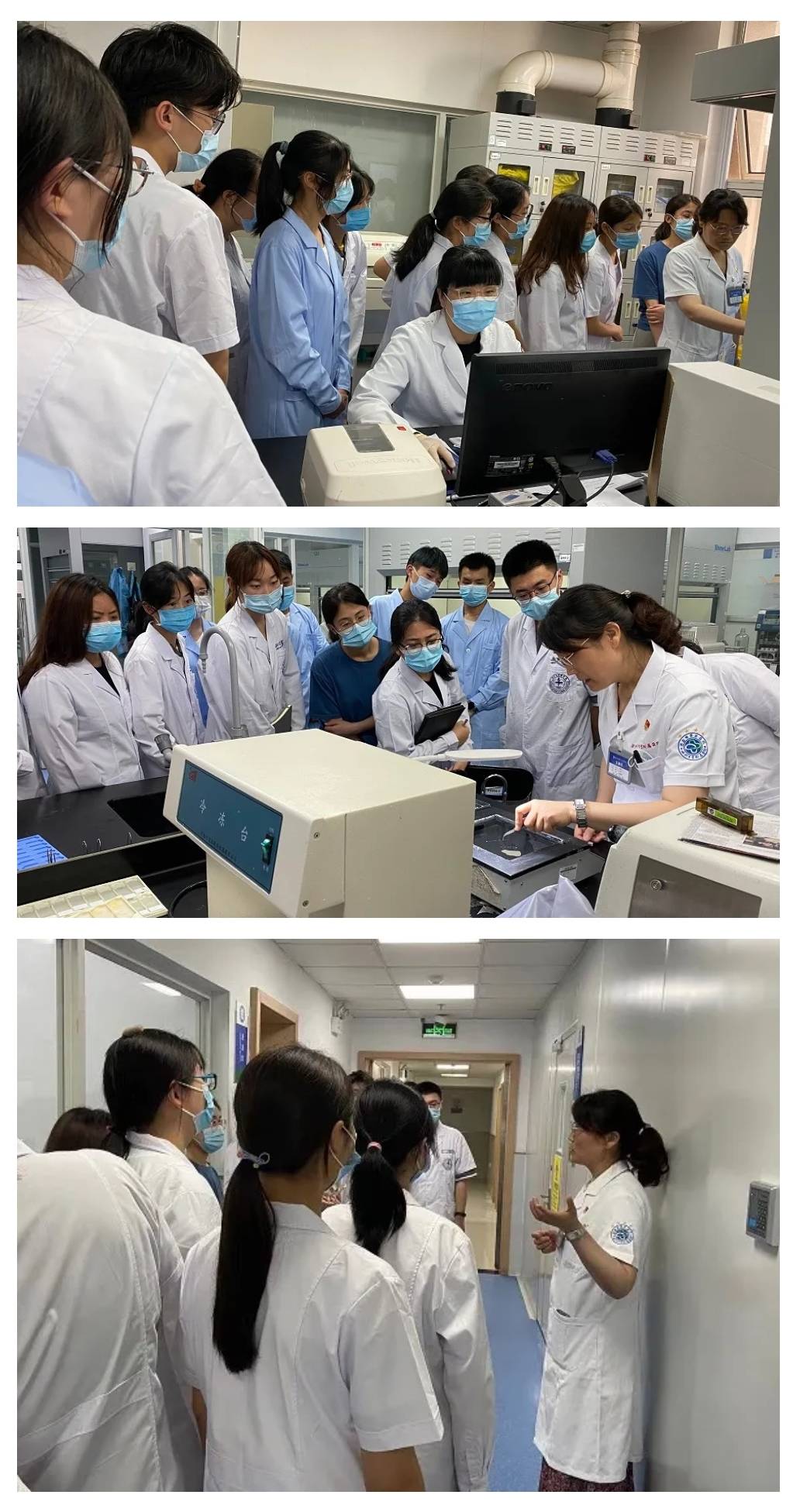 检查|西北大学附属医院?西安市第三医院病理科迎来首批西北大学医学院见习生