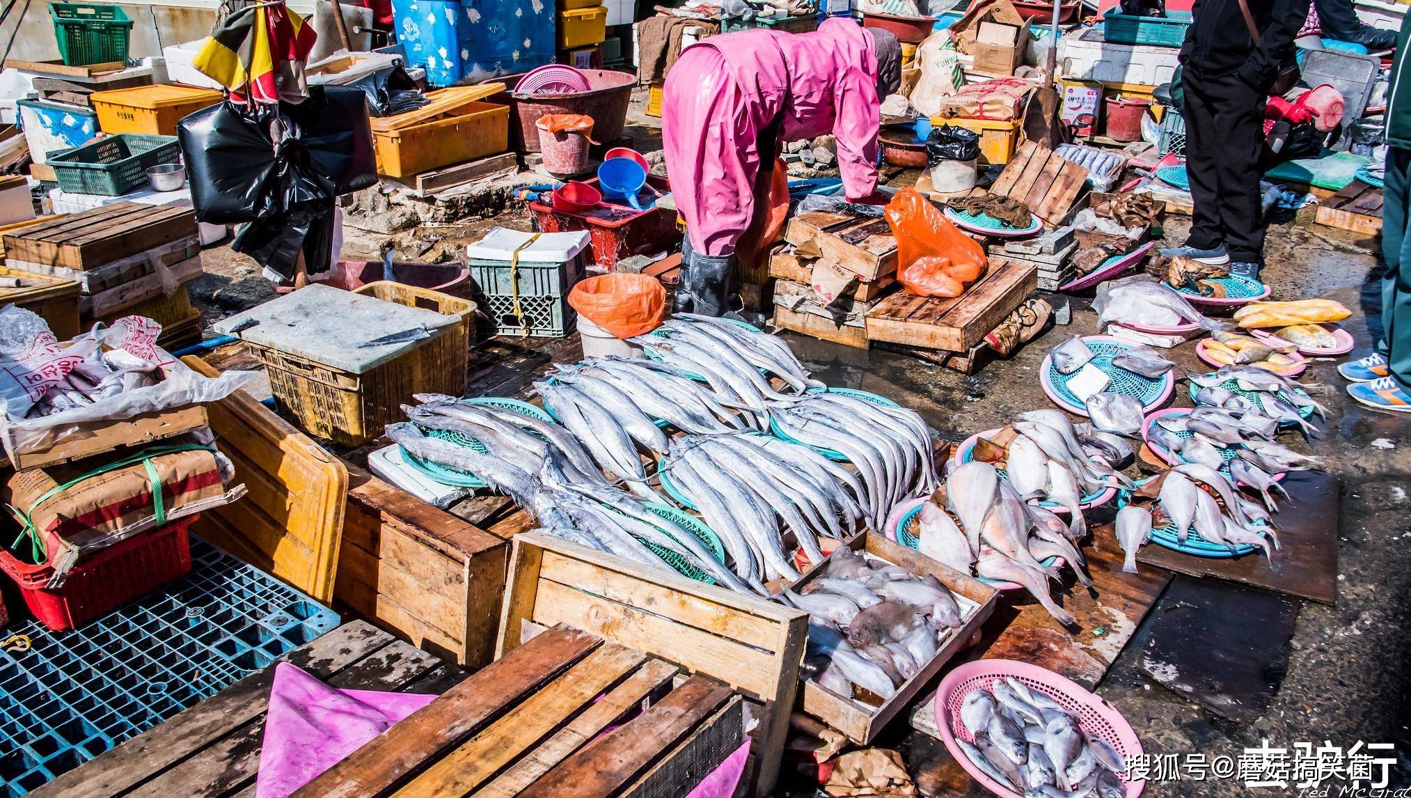 韩国最大的海鲜市场，大妈当家做主，男人认怂不敢轻易得罪