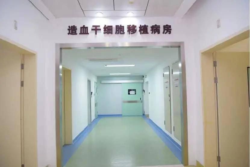 深圳晚报报道 | 骨髓配型失败,23ml脐带血创造生命奇迹_移植